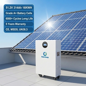 Batterie solaire au lithium Lifepo4 51,2 V 16 kWh, pack de batteries lithium-ion 51,2 V 280 Ah 314 Ah, système de stockage d'énergie domestique 15 kWh - Product Image 2