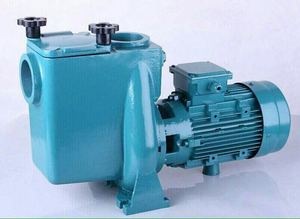 <span class=keywords><strong>Pompe</strong></span> à eau <span class=keywords><strong>de</strong></span> circulation en fonte <span class=keywords><strong>pour</strong></span> <span class=keywords><strong>piscine</strong></span> - Product Image 3