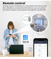 OEM PID Smart EU Plug Tasmota Open Source Firmware Prend en charge l'application WiFi Contrôle vocal à distance Prise domestique intelligente