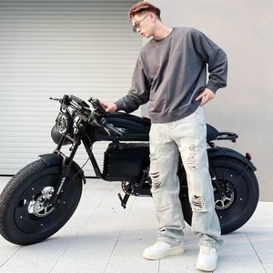 1500W 48V 60ah vélo hybride électrique haut de gamme Design nouveau Style alliage d'aluminium gros pneu montagne neige vélo <span class=keywords><strong>acier</strong></span> puissant 1500W - Product Image 6