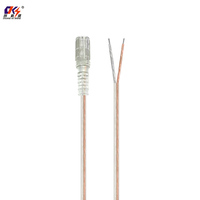 Câble d'extension d'alimentation pour enseignes néon LED, 2 m de long, transparent, femelle DC vers fil à extrémité ouverte, 2 conducteurs, avec interrupteur 304