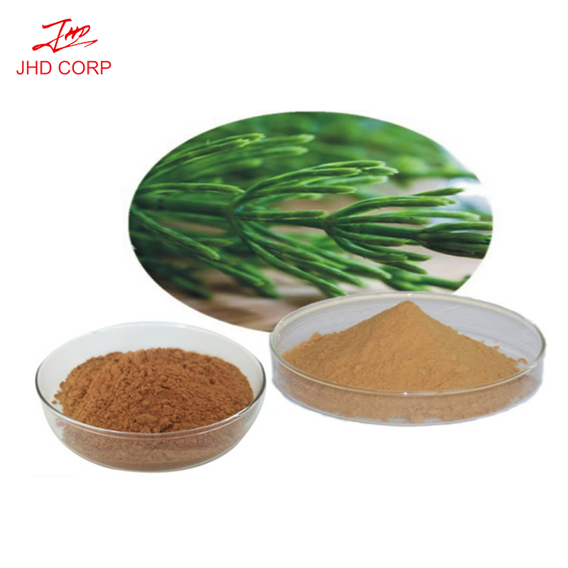 Nhà Máy Cung Cấp Horsetail P.e./Horsetail Herb Extract/Equisetum Arvense L Extract