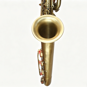 Saxofón Barítono de Bronce Antiguo de Alta Calidad Tide Music - Product Image 6