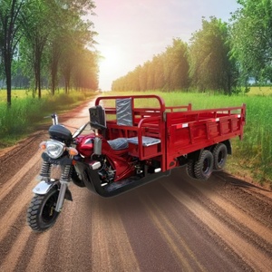 Motocicleta de Carga Eléctrica con Motor de Gasolina de 250CC, 300CC, 350CC, Triciclo de Gasolina con Sidecar de 9 Ruedas, Mejor Visibilidad en Motores de Búsqueda - Product Image 2