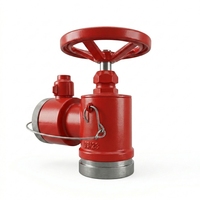 Hydrant d'incendie intérieur SN65 en acier inoxydable 304/316 pour la sécurité incendie des bâtiments intérieurs / Industrie incendie australienne / Réducteur de pression / Pompe à eau