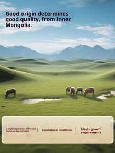 Autêntico Tonbrentang Pequim <span class=keywords><strong>Atractylodes</strong></span> Macrocephala Erva Branco Natural Bai Zhu Fatia Especiarias chinesas Raw <span class=keywords><strong>Atractylodes</strong></span> Secas - Product Image 5