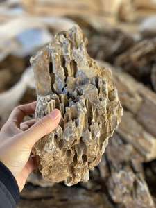 Piedra de Dragón Marrón Ohko, Rocas Flotantes Decorativas, Piedra Seiryu para Acuario - Product Image 3