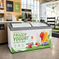 Congélateur Vitrine Commercial pour Crèmes Glacées, Réfrigérateur d'Îlot Transparent pour Supermarché, Écologique