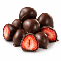 Gezonde Diepvries Traktatie Diepvries Chocolade Fruit 100% Natuurlijke Fruit Chocolade Roomvulling Klaar om te eten Zomerfeest Geen knoeien