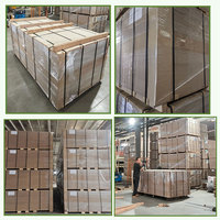 Tablero de Contrachapado Fenólico Verde con Revestimiento de PP, 1220X2440mm 2800X2070mm, Duradero y Resistente a la Corrosión para Construcción, ¡Gran Venta!