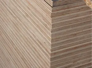 Guangdong Custom Solid Wood Paint Free Board 15mm18mm Melamine Laminated Plywood For Furniture Construction