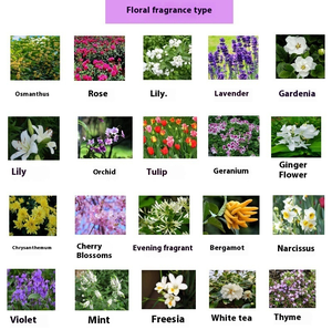 Parfum <span class=keywords><strong>de</strong></span> saveur <span class=keywords><strong>de</strong></span> fleur <span class=keywords><strong>de</strong></span> néroli à haute concentration <span class=keywords><strong>Essence</strong></span> liquide 95% + saveur <span class=keywords><strong>de</strong></span> pureté parfum longue durée pour l'industrie - Product Image 3