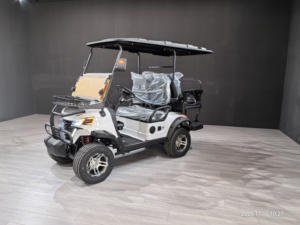 WELIFTRICH Voiturette de golf électrique tout-terrain 3-4 places, batterie lithium 60V, entièrement étanche, pour la chasse et le tourisme, 30-50 km/h, autonomie 90 km - Product Image 1