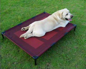 Большая водонепроницаемая черная кровать для собак с алюминиевой рамой - Product Image 4