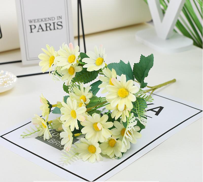 Single dream chrysanthemum light green