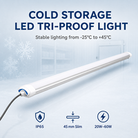 Éclairage linéaire LED Tri-Proof pour entrepôts frigorifiques, IP65, en aluminium, puissance 20-60W, gradation DALI 0/1-10V, pour températures négatives de -25 degrés