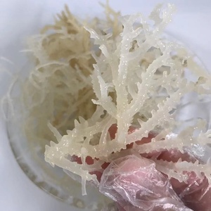 N10 พรีเมียม อาหารทะเลธรรมชาติ หน่อไม้ฝรั่งอบแห้ง สาหร่ายไอริชไม่ผ่านการปรุงรส สำหรับประกอบอาหาร - Product Image 3