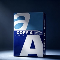Papier A4 70g/m² 75g/m² 80g/m² Haute luminosité Blanc Feuilles d'impression 100% pâte de bois vierge pour le bureau et l'école