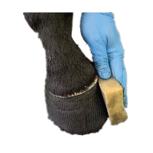 Top Seller 4inch Equine Hoof Cast for Hoof Care Vet Wrap Bandage Tape for Horse