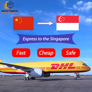 Spedizione Internazionale DDP dalla Cina, Servizio Porta a Porta a Singapore Tramite UPS/FedEx/DHL, Tariffe per Dropshipping e Amazon FBA - Product Image 1