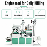 Machine à décortiquer le riz de 18 tonnes par jour, ligne de décorticage du riz de 1 tonne par heure, équipement de traitement des céréales agricoles