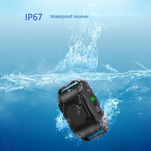 קולר רטט עם שלט רחוק לאילוף כלבים של SmartPet, לעצירת נביחות, ספק OEM/ODM, ציוד לחיות מחמד - Product Image 3