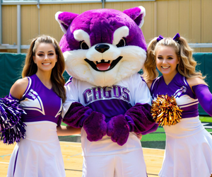 Costume da Mascotte Sportiva di Basket, Personaggio Animale Cosplay, Cartone Animato per Adulti, Costume da Spettacolo con Ballerino Ambulante - Product Image 2