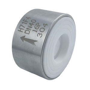 PFA Fluor Doublé Wafer Type Sping Lift Type PTFE scellé <span class=keywords><strong>Clapet</strong></span> <span class=keywords><strong>anti</strong></span>-<span class=keywords><strong>retour</strong></span> résistant à la corrosion - Product Image 1