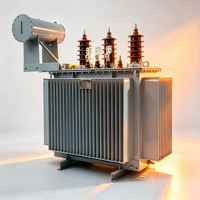 Transformateur de distribution de puissance triphasé immergé dans l'huile Taishun S11 125KVA 50/60Hz 6.3kV 10kV