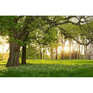 7x5ft liền mạch mùa xuân công viên rừng nền tùy chỉnh phẳng ảnh <span class=keywords><strong>Studio</strong></span> nghệ thuật chân dung cho đi chơi làm giấy Vinyl Chứng Khoán - Product Image 2