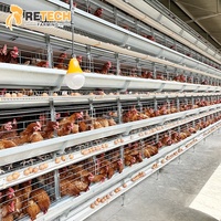 Équipement d'élevage avicole du Kenya : Cage à poules pondeuses automatique de type H à 4 niveaux avec système de collecte des œufs pour ferme avicole