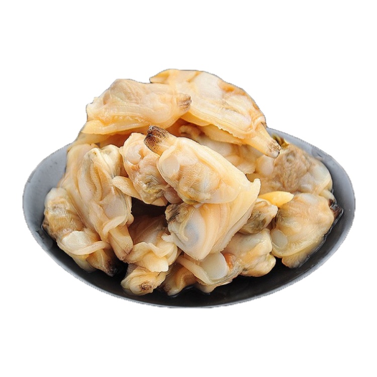 Frozen clams without shell Frozen short neck clam meat