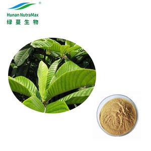 100% Natuurlijke Loquat Bladextract Poeder 10:1 20:1 Met Ursolinezuur 25%-95% - Product Image 2