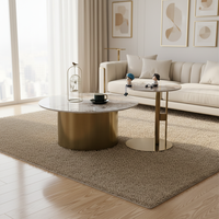 Table basse de luxe moderne et créative avec plateau en pierre, design simple, dorée, en métal durable, facile à nettoyer, meuble de rangement pour la maison