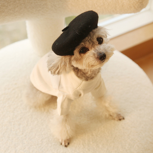 Venta al por mayor personalizado invierno mascota gato cachorro perro boinas sombrero elegante liso lana bordado boina <span class=keywords><strong>gorra</strong></span> - Product Image 3