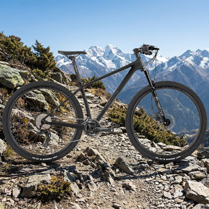 Bicicleta de Montaña <span class=keywords><strong>Aero</strong></span> de Fibra de Carbono, 12 Velocidades, Frenos de Disco Hidráulicos Tektro, Bicicleta Todoterreno LEOPARDpro 29er - Product Image 6
