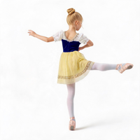 Tutu de ballet romantique Giselle personnalisé, robe professionnelle en dentelle florale avec jupe en tulle en forme de cloche pour la performance et la compétition