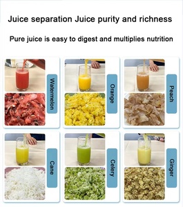 Extracteur de Jus sur Mesure pour <span class=keywords><strong>la</strong></span> Maison, Presseur à Froid Lent pour Citron, Agrumes, Carotte, <span class=keywords><strong>Pomme</strong></span>, Mélangeur et Broyeur - Product Image 6