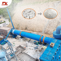Sécheur rotatif professionnel à la bentonite pour usine de traitement des minerais