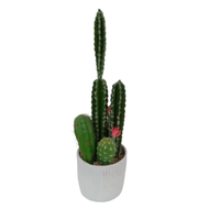 Cactus artificiel en plastique en pot, Bonsaï, plantes tropicales du désert pour la maison et le salon, vert, taille 17-18 pouces
