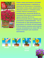 5 Premium nain pétunia polyvalent fleur jardin truie paquet sac plante Kit truies pour la plantation ou sol suspendu centre commercial utilisation