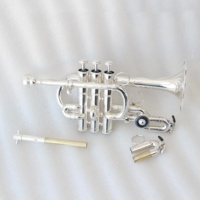 Wholesale Trumpet Professional Good Price Economical Trumpet Instrument Silver Plated Bb/A Piccolo Trumpet