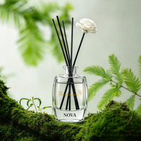 Diffuseur de parfum d'ambiance en gros, aromathérapie, huile parfumée, marque privée NOVA, formule exclusive, emballé en boîte