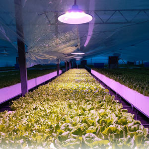 מחיר זול ip65 הוביל לגדול אורות 36 וואט גבוה מפרץ לגדול אור עבור ירקות - Product Image 6