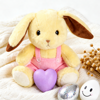 Peluche Lapin Brodé Personnalisé 100% Polyester Rembourré Coton PP Poupée Lapin d'Anniversaire OEM ODM Vente en Gros