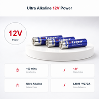 Baterai Alkali Kering OEM Custom 12V 27A 40mAh untuk Perangkat Remote Control Sel Primer Alkali Berkinerja Tinggi