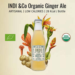 Fabriqué en Espagne, nouvelle boisson gazeuse au gingembre biologique, faible en calories, Refresco, boisson biologique 200 ml - Product Image 4