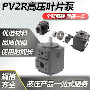 Pompes hydrauliques à palettes haute pression série PV2R, accessoires pour unités hydrauliques, pompes à palettes série PV2R2 - Product Image 3