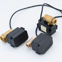 Factory Brass Mini Electric Ball Valves for Smart Home Sanitary Ware/Instruments & Meters
