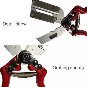 <span class=keywords><strong>Branche</strong></span> épaisse arbre fruitier greffage jardin cisailles élagage coupe greffage cisailles pour le jardinage - Product Image 3